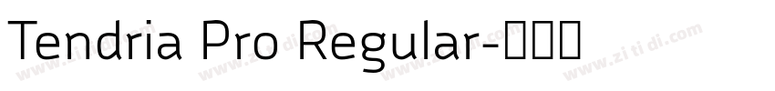Tendria Pro Regular字体转换